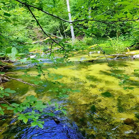 Jaskolka - I Przy Plazy * Olsztyn (Warmian-Masurian)