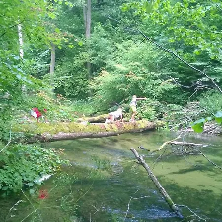 Jaskolka - I Przy Plazy Lejlighed